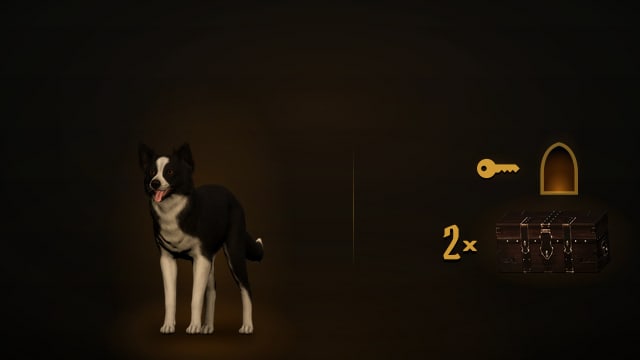 The Dog Pet, beside a key and a gate, and a stash chest marked two times